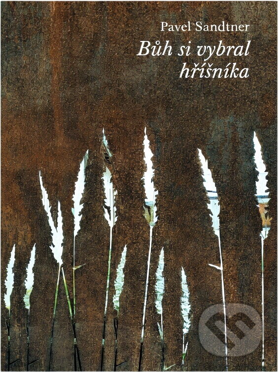 Kniha: Bůh si vybral hříšníka (Pavel Sandtner). , 2024