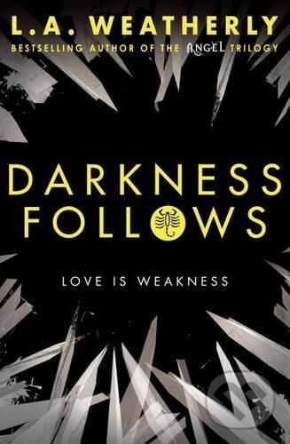 Levně Darkness Follows - L.A. Weatherly - kniha z kategorie Sci-fi, fantasy a komiksy