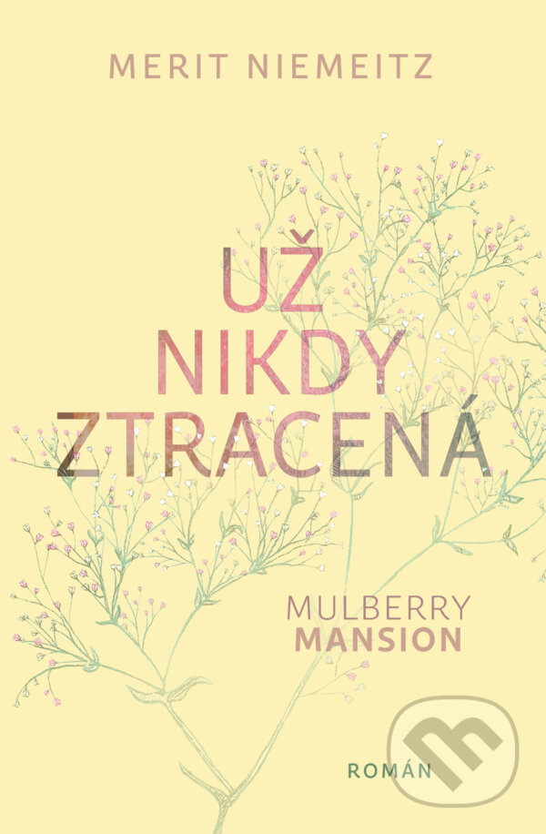 Kniha: Už nikdy ztracená (Merit Niemeitz)