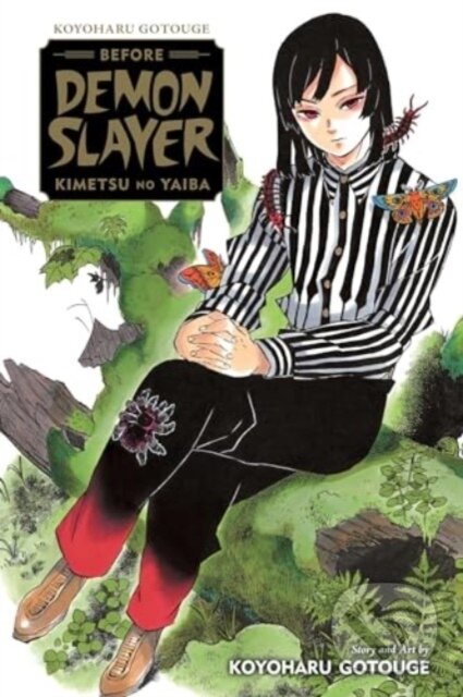 Koyoharu Gotouge Before Demon Slayer: Kimetsu no Yaiba koupíte na Martinus.cz