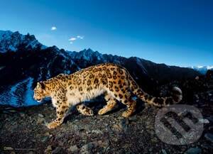 Puzzle: Snow Leopard (Clementoni). Clementoni, 2017