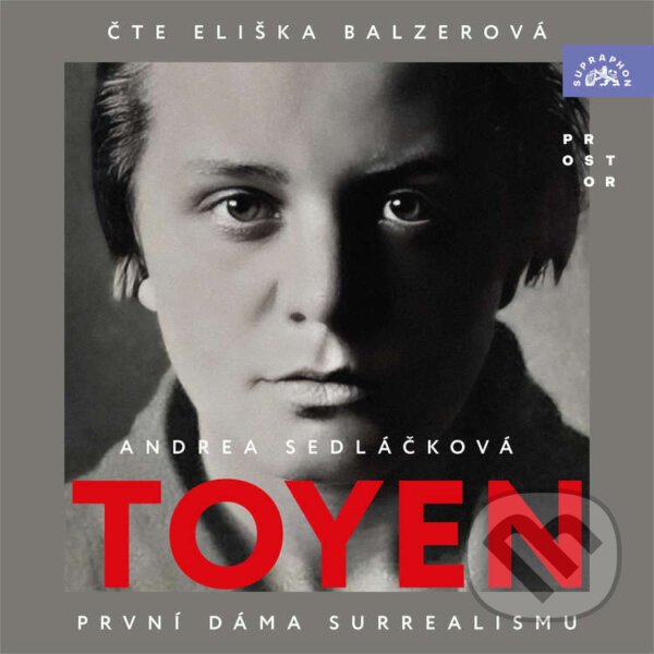 Audiokniha: Toyen (Andrea Sedláčková)