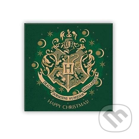 Levně Harry Potter Magnet - Rokfort (zelený)