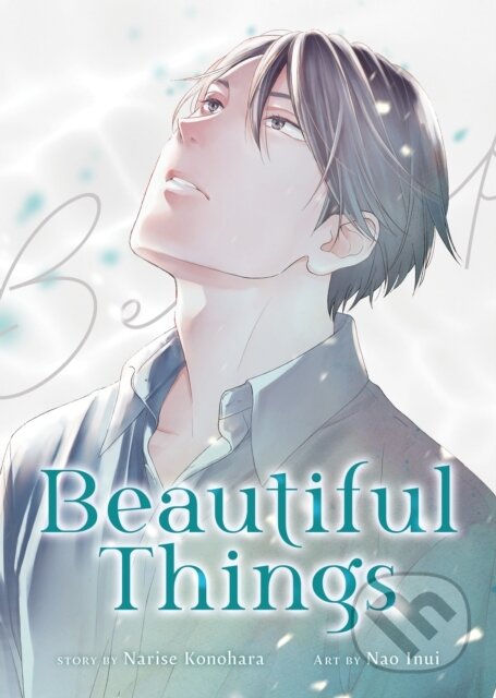 Kniha Beautiful Things: The Complete Manga Collection