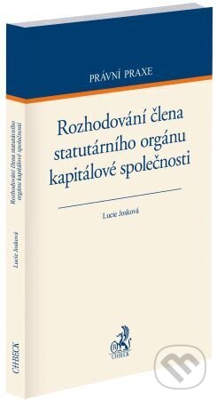 Kniha Rozhodování člena statutárního orgánu kapitálové společnosti