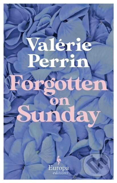 Levně Forgotten on Sunday (From the million copy bestselling author of Fresh Water for Flowers) - kniha z kategorie Beletria