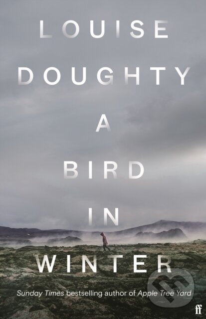 Levně A Bird in Winter ('Nail-bitingly tense and compelling' Paula Hawkins) - kniha z kategorie Spoločenská beletria