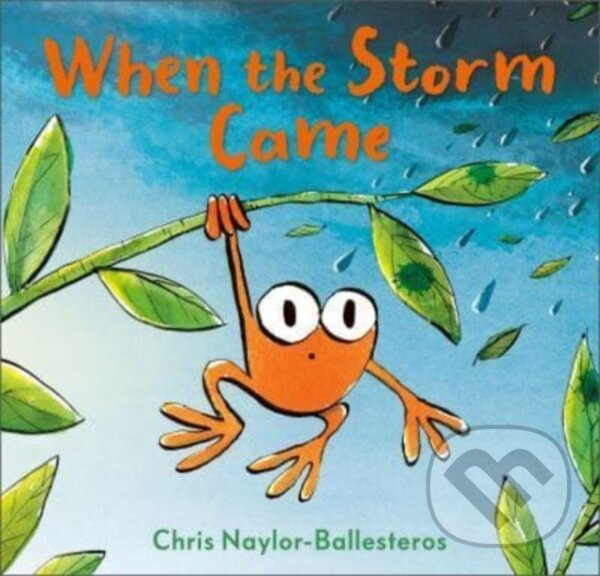 Levně When the Storm Came - Chris Naylor-Ballesteros - kniha z kategorie Pre deti a mládež