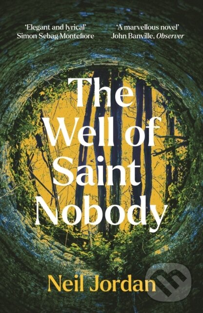 Kniha Well of Saint Nobody