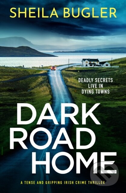 Levně Dark Road Home (A tense and gripping Irish crime thriller) - kniha z kategorie Detektívky, trilery a horory