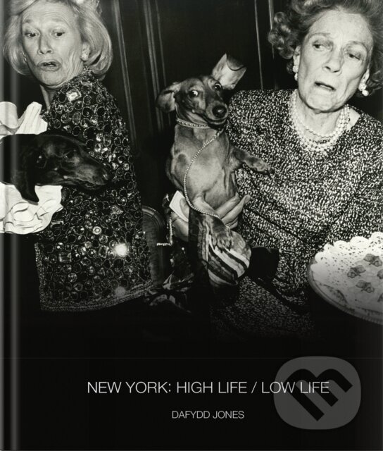 Levně New York: High Life / Low Life - Dafydd Jones - kniha z kategorie Umenie, dizajn a architektúra