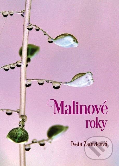 Levně Malinové roky - Iveta Zaťovičová - kniha z kategorie Spoločenská beletria