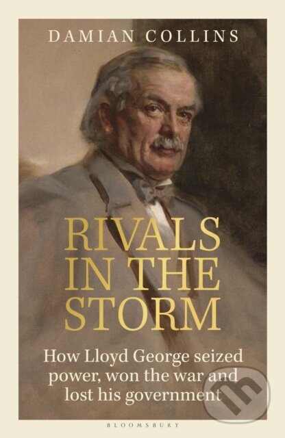 Kniha Rivals in the Storm