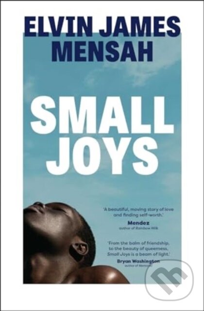 Levně Small Joys (A Buzzfeed 'Amazing New Book You Need to Read ASAP') - kniha z kategorie Beletria