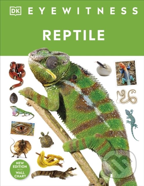 Levně Reptile - Colin McCarthy - kniha z kategorie Pre deti a mládež
