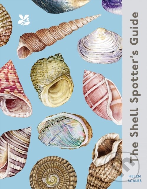 Kniha: The Shell Spotter’s Guide (Helen Scales)