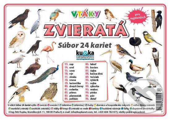 Levně Súbor 24 kariet - Zvieratá (vtáky) - kniha z kategorie Učebnice a slovníky