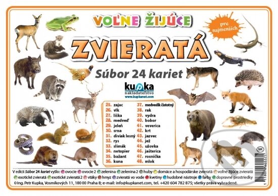 Levně Súbor 24 kariet - Zvieratá (voľne žijúce) - kniha z kategorie Učebnice a slovníky