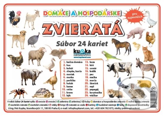 Levně Súbor 24 kariet - Zvieratá (domáce a hospodárske) - kniha z kategorie Učebnice a slovníky