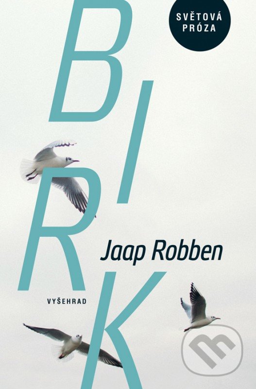 Levně Birk - Jaap Robben - kniha z kategorie Beletria