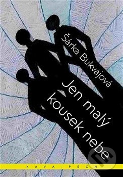 Levně Jen malý kousek nebe - Šárka Bukvajová - kniha z kategorie Spoločenská beletria
