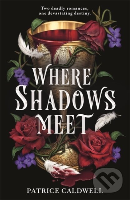 Levně Where Shadows Meet - Patrice Caldwell - kniha z kategorie Fantasy