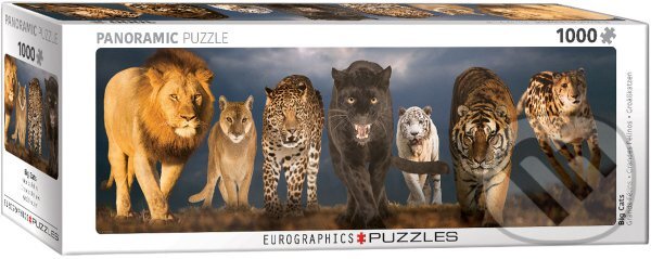 Velké kočky, EuroGraphics, 2017