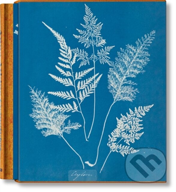 Levně Anna Atkins. Cyanotypes - Peter Walther - kniha z kategorie Fotografie