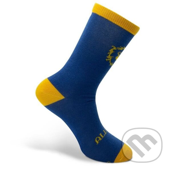 Levně Ponožky World of Warcraft - Alliance Blue & Yellow