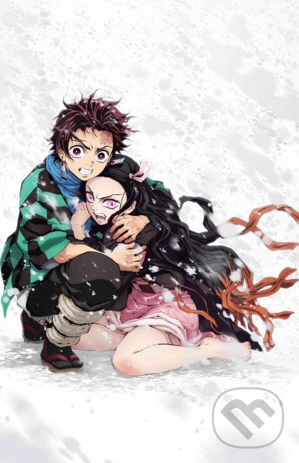 Levně Plagát Demon Slayer - Tanjiro & Nezuko Snow