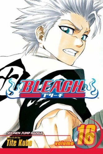 Kniha Bleach 16