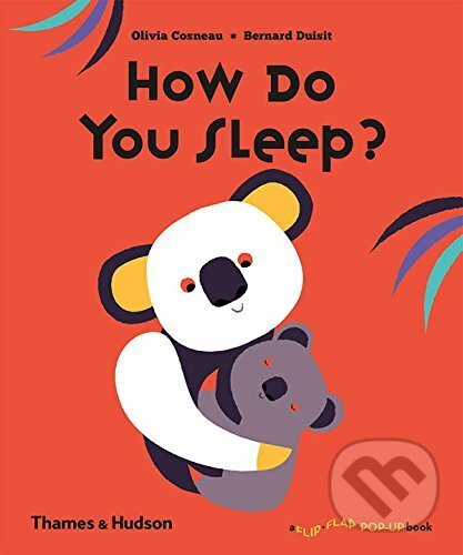Levně How Do You Sleep? - Olivia Cosneau, Bernard Duisit - kniha z kategorie Rozprávky