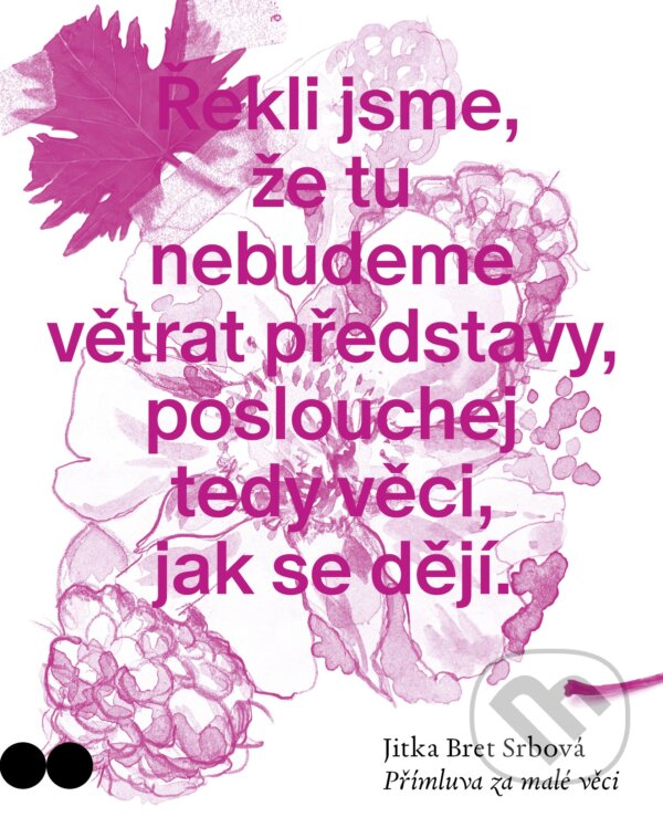 Levně Přímluva za malé věci - Jitka Bret Srbová - kniha z kategorie Poézia