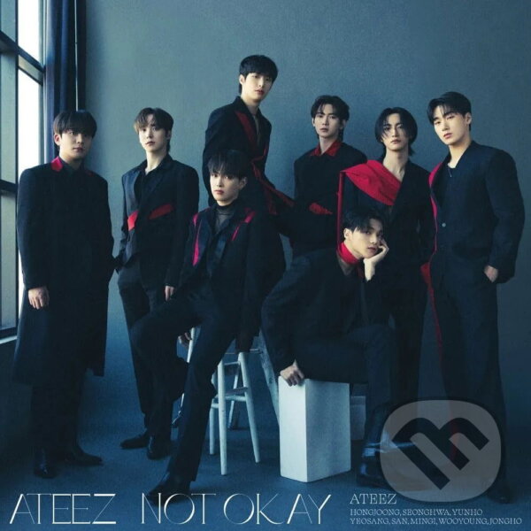Kniha Ateez: Not Okay (Regular edition)