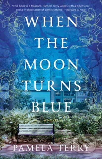 Levně When the Moon Turns Blue (A Novel) - Pamela Terry - kniha z kategorie Beletria