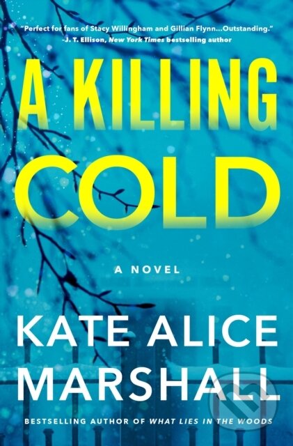 Kniha Killing Cold