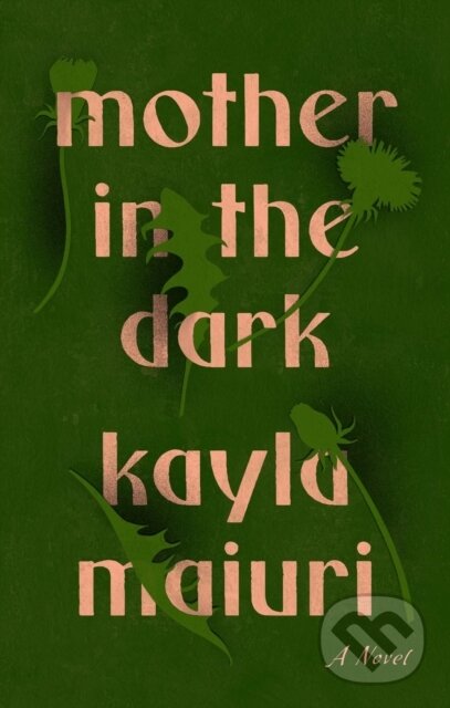 Levně Mother In The Dark (A Novel) - Kayla Maiuri - kniha z kategorie Beletria