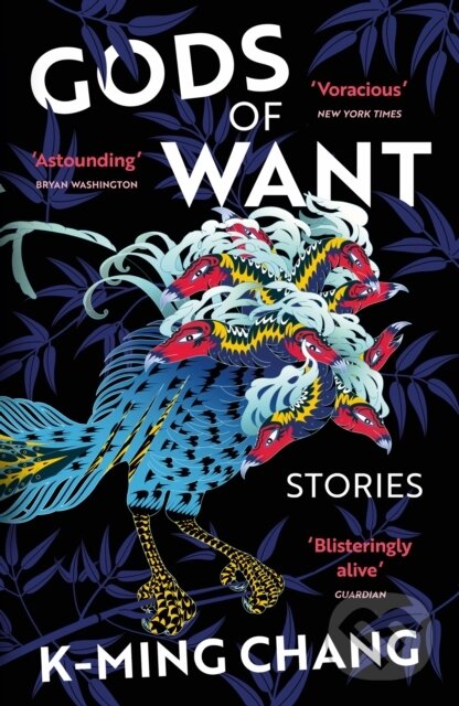 Levně Gods of Want (A New York Times Notable Book of 2022) - kniha z kategorie Spoločenská beletria