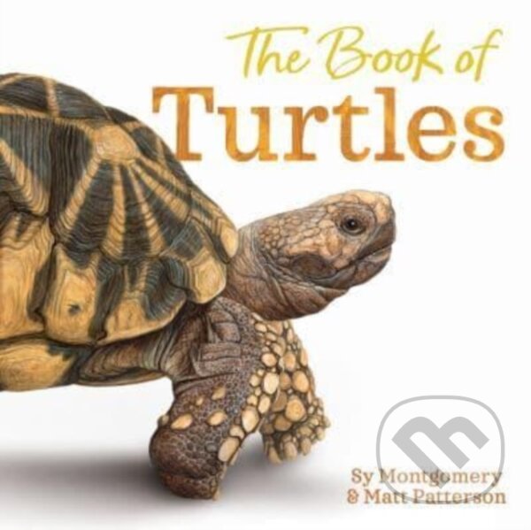Kniha Book of Turtles