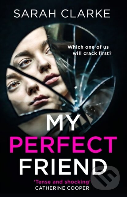 Kniha My Perfect Friend