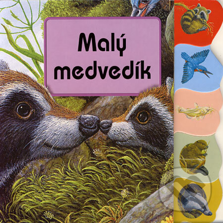 Kniha: Malý medvedík (Junior). Junior