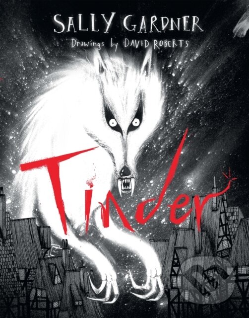 Levně Tinder - Sally Gardner - kniha z kategorie Pre deti a mládež