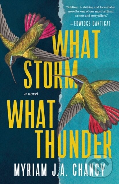 Kniha What Storm, What Thunder
