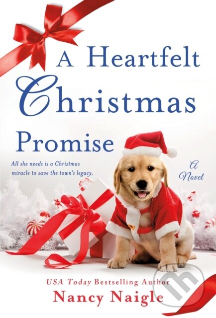 Kniha Heartfelt Christmas Promise