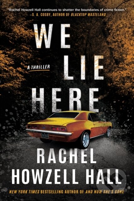 Kniha We Lie Here