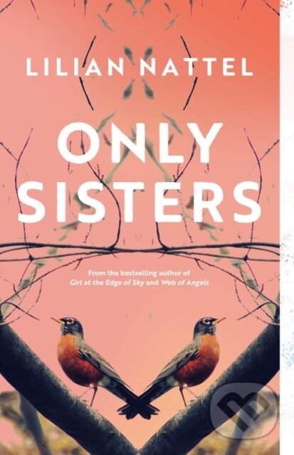 Levně Only Sisters - Lilian Nattel - kniha z kategorie Spoločenská beletria