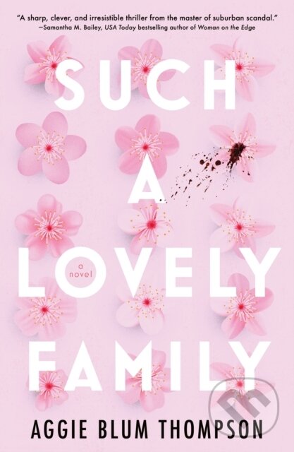 Kniha Such a Lovely Family