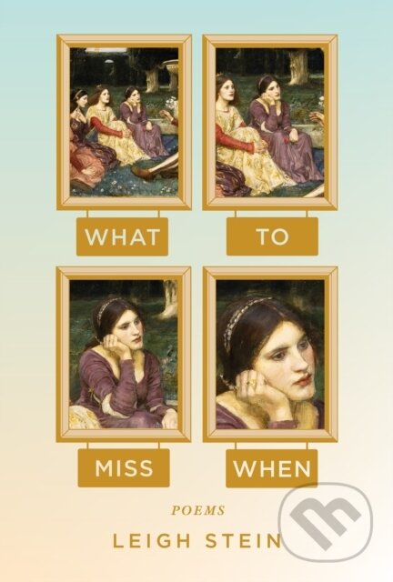 Levně What to Miss When (Poems) - Leigh Stein - kniha z kategorie Poézia