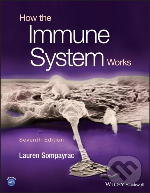 Levně How the Immune System Works - Lauren M. Sompayrac - kniha z kategorie Medicína