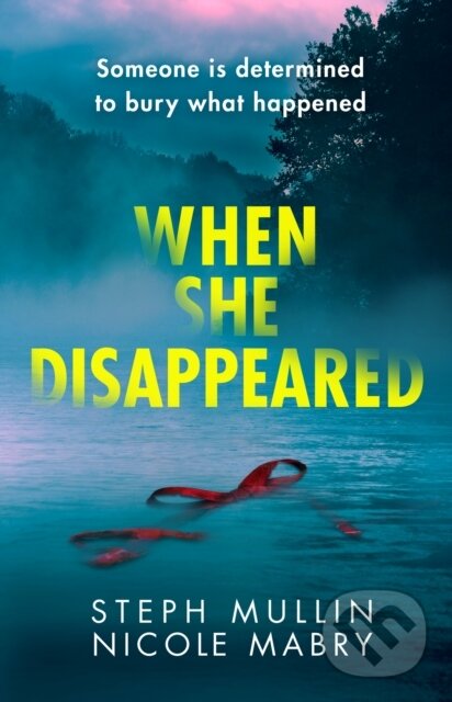 Kniha When She Disappeared